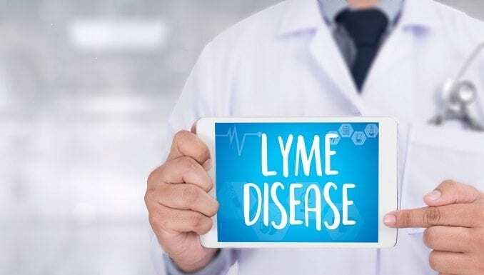 Lyme Disease Awareness for Bergen County Residents: Safeguarding Your Family during Outdoor Adventures Lyme disease and children: What you should know about tick bites, Lyme disease symptoms and treatment. Read more on mybergen.com